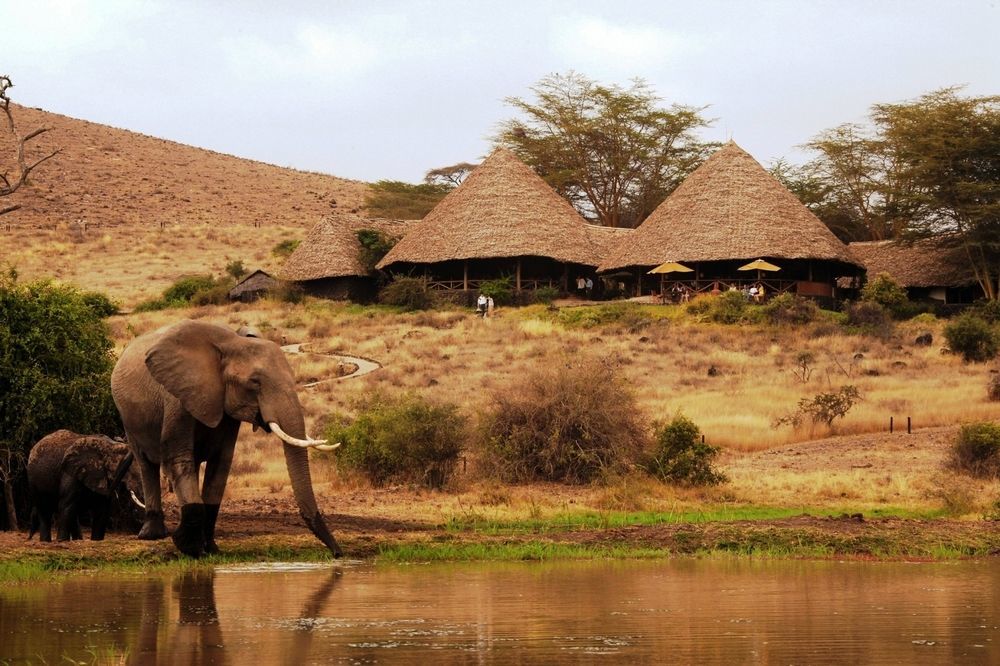 ホテル Elewana Tortilis Camp アンボセリ エクステリア 写真
